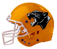 Stockbridge-Panthers-Helmet Stockbridge-Panthers-Helmet